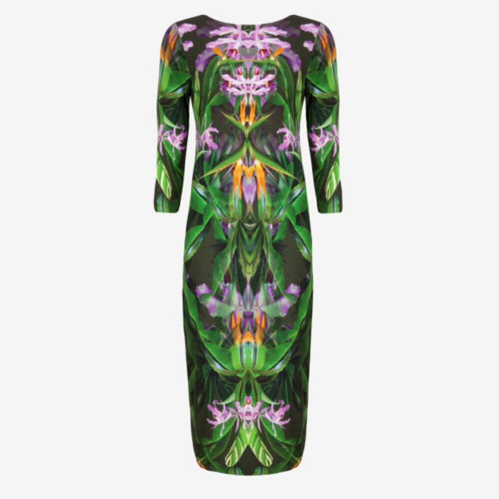 Ted Baker Amberry Paradise Print Midi Dress Size 1 (US 4)